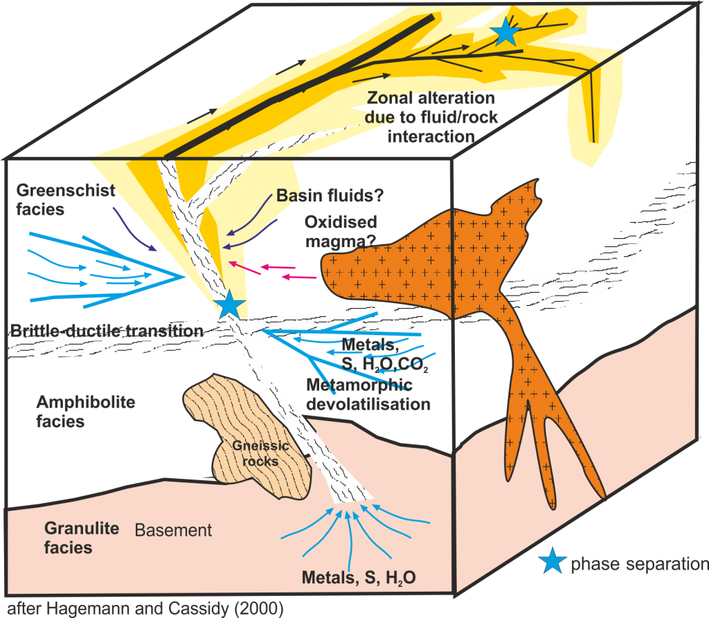 Orogenic gold system fluid change