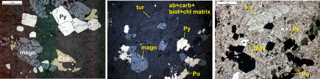 Type 1 Vein petrography