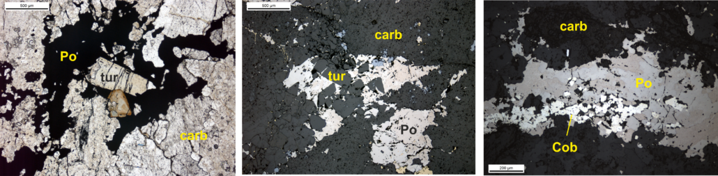 Type 2 Vein petrography